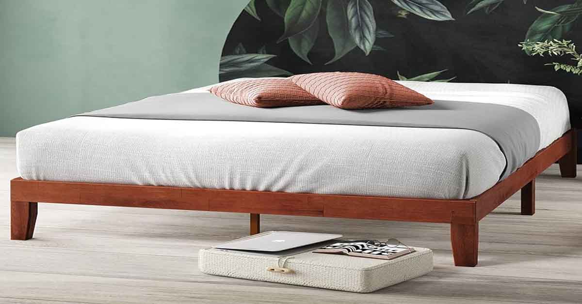 Exclusive zinus olivia bed frame : a thorough review in 2024